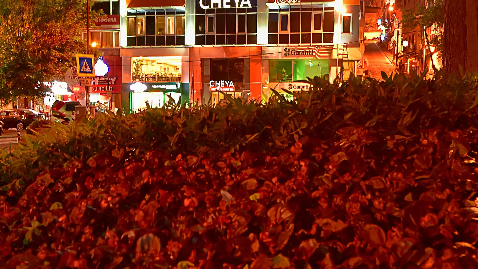 ***  Cheya Besiktas Istanbul Bosphorus City Center Hotel & Suites Турция